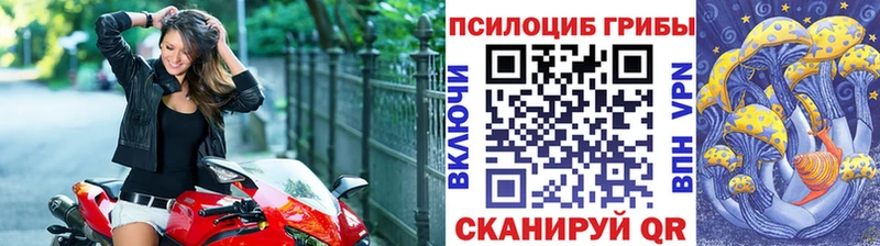 Псилоцибиновые грибы MAGIC MUSHROOMS  Купить где  Краснознаменск 